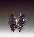 Butterfly Capricho Set (14)